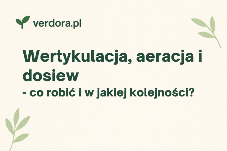 Wertykulacja, aeracja i dosiew – co robić i w jakiej kolejności